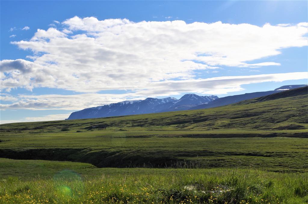 Sireksstadir Farm Holiday Vopnafjordur Ngoại thất bức ảnh